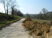 RSCF0093